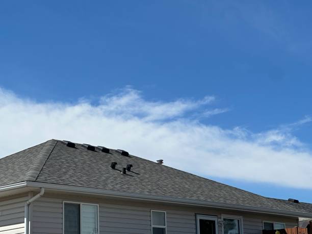 Best Roof Coating Services  in USA